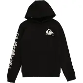 Quiksilver Omni Logo Hettegenser