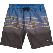 O'Neill Print Kids Boardshorts blå