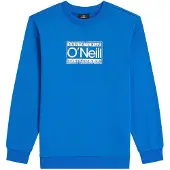O'Neill Cali Collegegenser