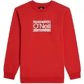 O'Neill Cali Collegegenser