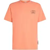 O'Neill Melange Chest Print T-skjorte oransj