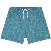 Iriedaily Crazy Fresh 0 Boardshorts blå