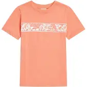 O'Neill Graphic Kortarmet T-skjorte