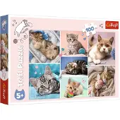 Trefl Puzzle - In the cat world (100 pieces) 2D Puslespill