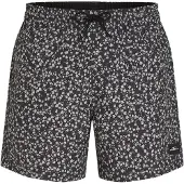 O'Neill Print 16'' Boardshorts mønster
