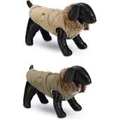 Designed By Lotte Philos Hundegenser