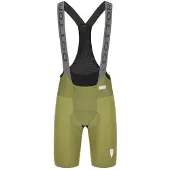 Q36.5 Dottore Pro Sykkelshorts