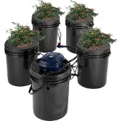 Vevor RDWC hydroponikksystem resirkulerende dypvannskultur 4 bøtter 18,9 l