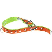 Ferplast Dual 20 Mm 43 Cm Hundehalsbånd