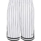 Karl kani Small Signature Pinstripe Mesh Shorts