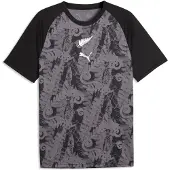 Puma New Zealand Warmup Jersey Men, Football, Black/Silver, S
