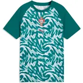 Puma Portugal Warmup Jersey Youth, Football, Green Lagoon/Ruby Shimmer, 11-12Y