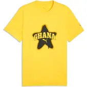 Puma Ghana ftblCulture Tee Men, Performance, Pelé Yellow/Black, L