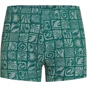 O'Neill Essential Aop Racer Boardshorts blå