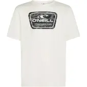 O'Neill Graphic Kortarmet T-skjorte