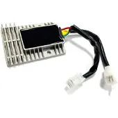 Vicma 21187 Regulator/likeretter