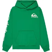 Quiksilver Omni Logo Kids Hettegenser grønn