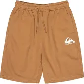 Quiksilver Easy Day Youth Sports Shorts