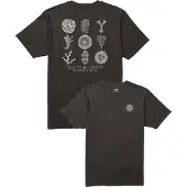 Salty Crew Coral Head Kortarmet T-skjorte