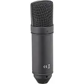 Tascam TM-80B Condenser Microphone Black