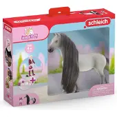 Schleich SB Starter Set - Sofia & Dusty