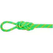 Mammut 8.0 Mm Alpine Dry 50 M Tau