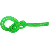 Mammut 9.5 Mm Crag Dry 40 M Tau