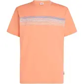 O'Neill Logo Stripe T-skjorte oransj