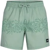 O'Neill Uni Flower 16" Boardshorts grønn