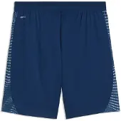 Puma Individualfinal Shorts