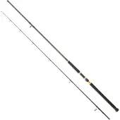 Daiwa Legalis Shore Jigging Stang