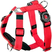 My Family Memopet H Adjustable Hundesele