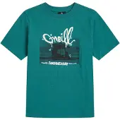 O'Neill Slub Graphic Kids T-skjorte grønn
