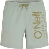 O'Neill Cali 16'' Boardshorts grå
