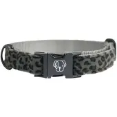 Kentucky Leopard Hundehalsbånd