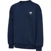 Hummel Loose Bee Collegegenser