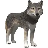 Schleich Wild Life - Nordamerikansk ulv - H: 6 cm - 14991 - - OneSize - Lekedyr
