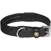 Equestro Web Hundehalsbånd