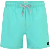 Rip Curl Offset Volley Boardshorts blå