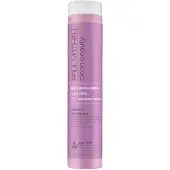 Paul Mitchell Clean Beauty Blonde Shampoo 250 ml