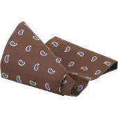 Suitable Silkeskjerf Paisley Brun