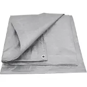 AWTOOLS Tarp 1000 x 2000 cm 120 g/m²