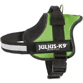 JULIUS K-9 Power Hundesele