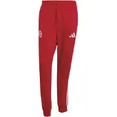 Adidas Fc Bayern Munich Dna Treningsbukse
