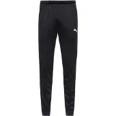 Puma Teamrise Poly Training Bukser