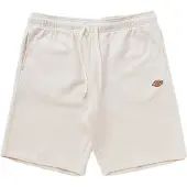 Dickies Mapleton Shorts