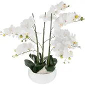 Atmosphera Orchid Jj1683 Blomsterpotte
