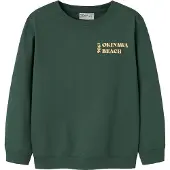 Name it Økologisk Bomull Sweatshirt