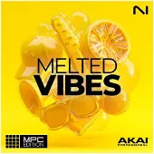 Native Instruments MPC Expansion Melted Vibes