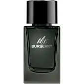 Burberry Mr. EDP 100 ml